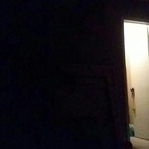 Meet your Posher, Frank